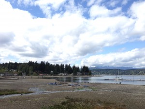 top things to do hood canal