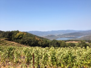 top 10 napa valley wineries