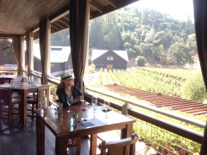 top 10 napa valley wineries