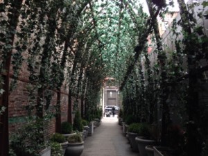 top things to do in NYC