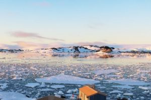 Environment Conservation Antarctica