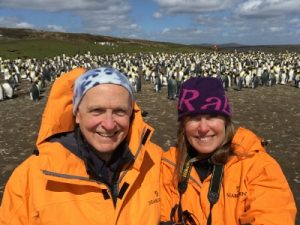 Falkland Islands Penguin excursion
