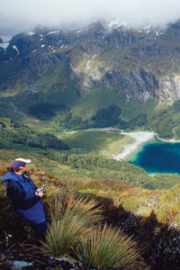 Heading to New Zealand?  Contact Black Sheep Touring