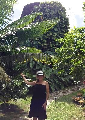 Vanessa Recommends…Nevis To Do’s