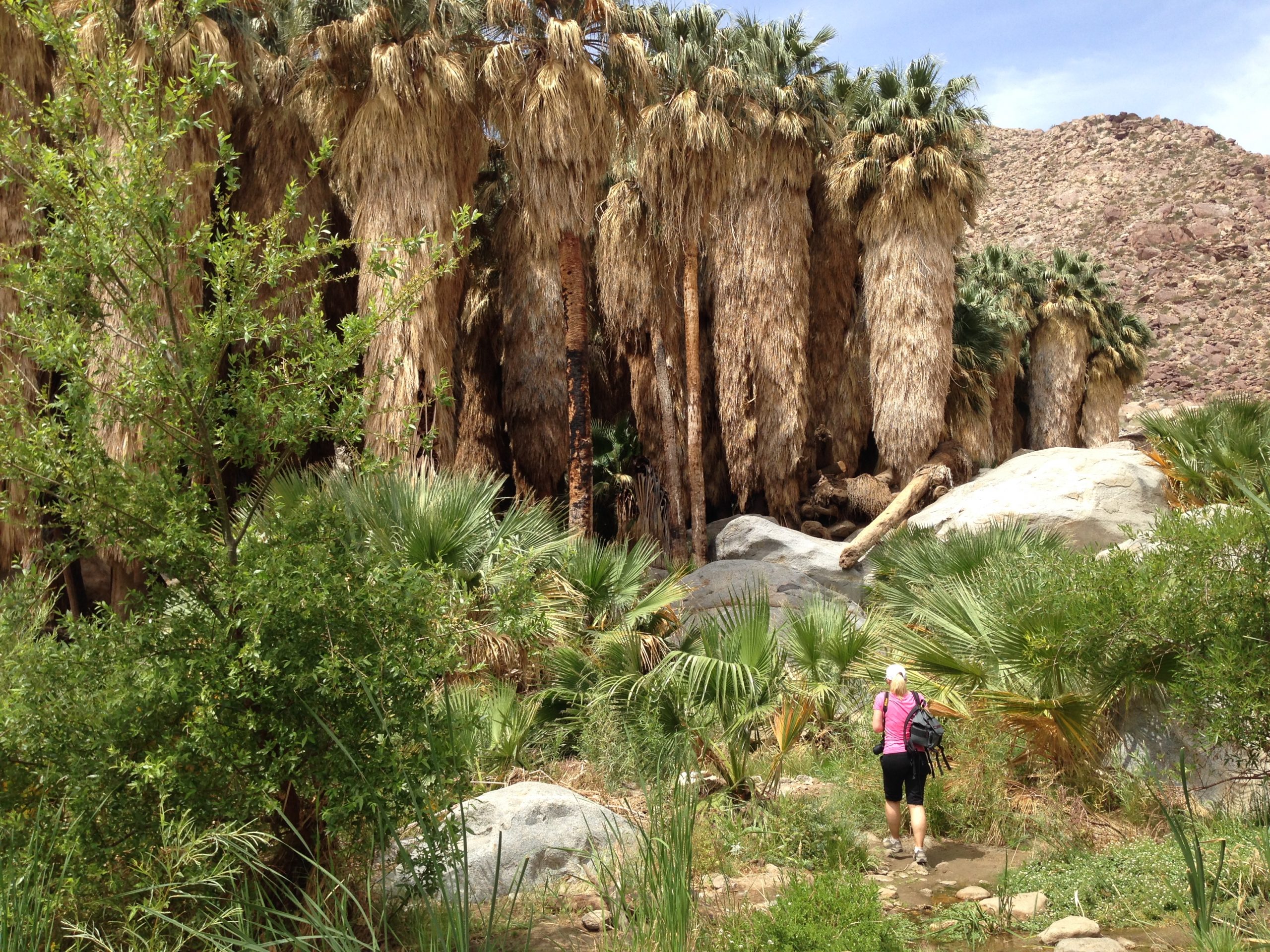 72 Hours in a Palm Springs Desert Oasis